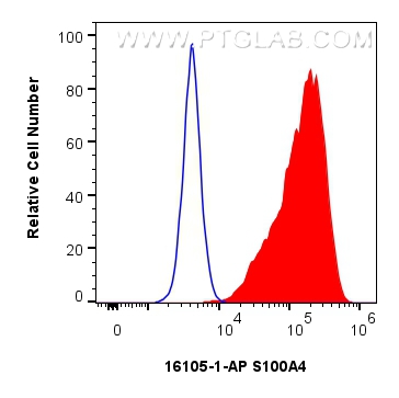 FC experiment of HeLa using 16105-1-AP