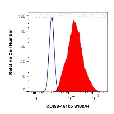 FC experiment of HeLa using CL488-16105