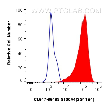 FC experiment of HeLa using CL647-66489