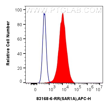 FC experiment of A549 using 83168-6-RR (same clone as 83168-6-PBS)