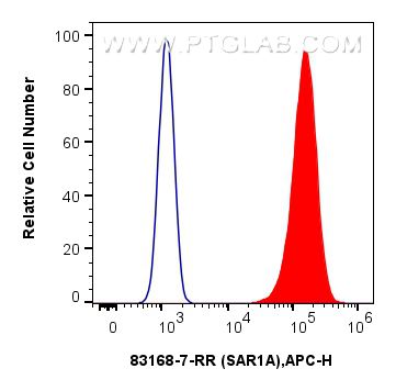 FC experiment of A431 using 83168-7-RR