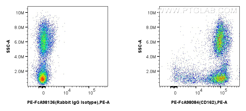 FC experiment of human peripheral blood leukocyte using PE-FcA98084