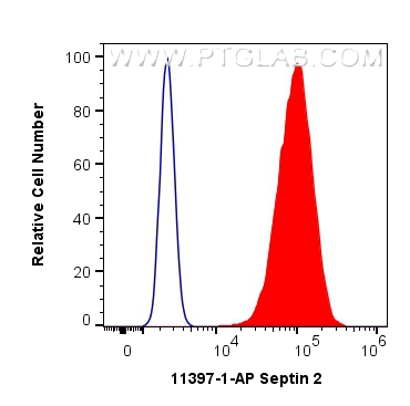 FC experiment of MCF-7 using 11397-1-AP