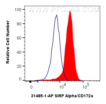 FC experiment of THP-1 using 31485-1-AP