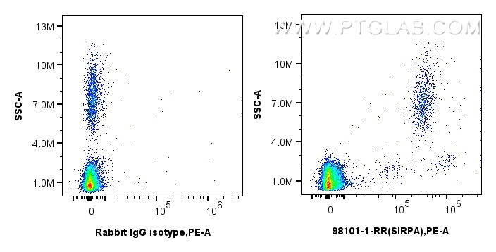 FC experiment of human peripheral blood leukocytes using 98101-1-RR (same clone as 98101-1-PBS)