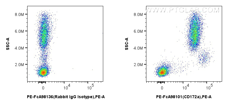 SIRP Alpha/CD172a