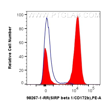 SIRP beta 1/CD172b