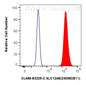 FC experiment of U-251 using CL488-83225-2