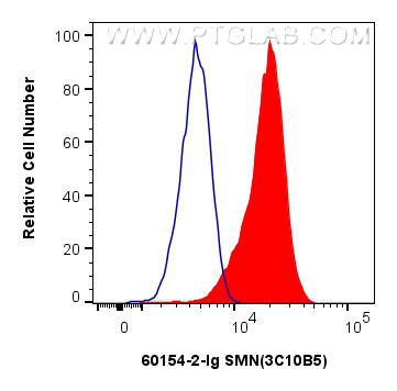 FC experiment of Jurkat using 60154-2-Ig