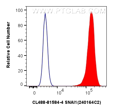 FC experiment of HeLa using CL488-81584-4