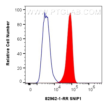 FC experiment of U2OS using 82962-1-RR