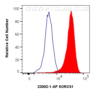 FC experiment of HeLa using 23002-1-AP