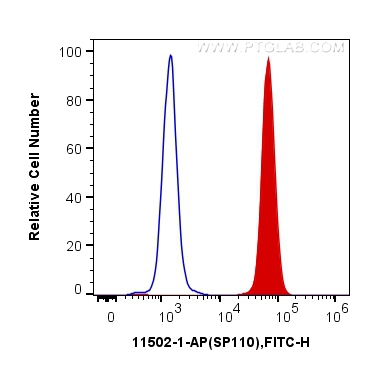 FC experiment of Jurkat using 11502-1-AP