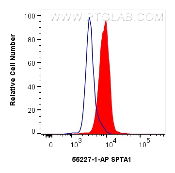 FC experiment of K-562 using 55227-1-AP