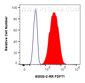 FC experiment of U2OS using 83020-2-RR