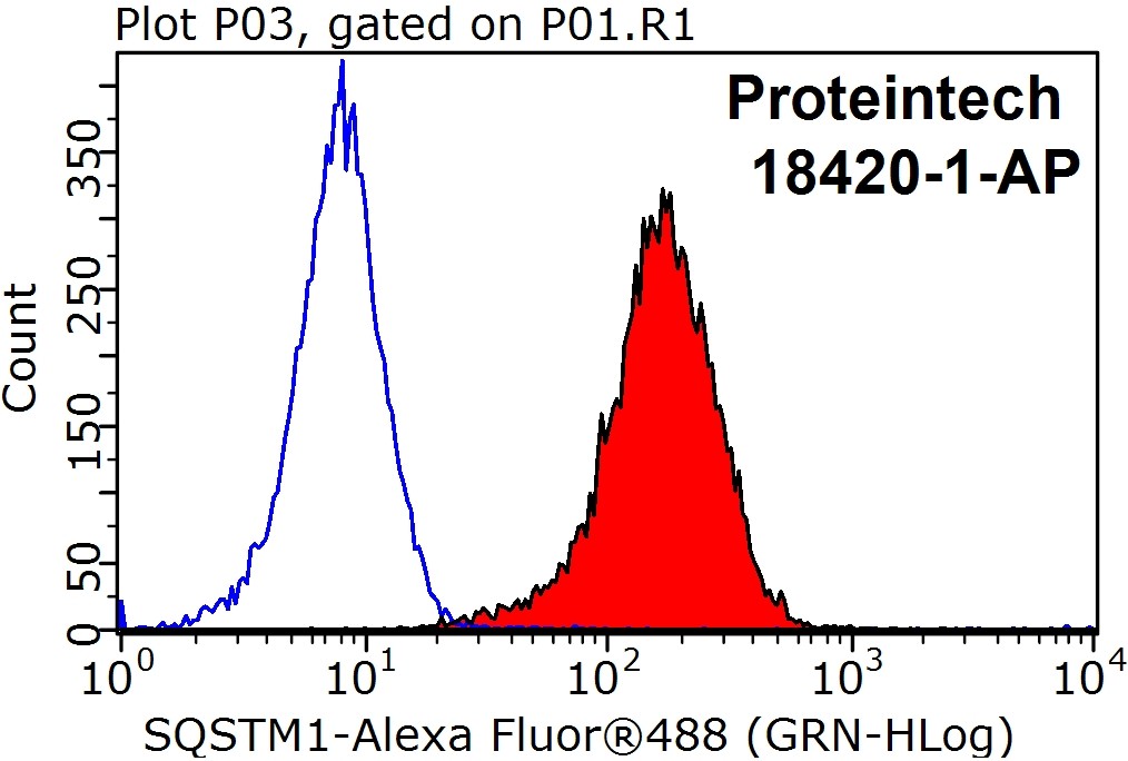 P62,SQSTM1