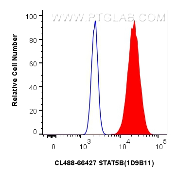 FC experiment of HeLa using CL488-66427