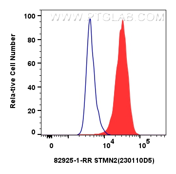 FC experiment of SH-SY5Y using 82925-1-RR (same clone as 82925-1-PBS)