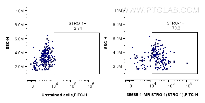 FC experiment of human blood using 65585-1-MR