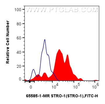 FC experiment of human blood using 65585-1-MR