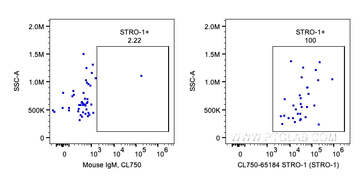 FC experiment of Human PBMCs using CL750-65184