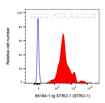 FC experiment of human blood using 65184-1-Ig