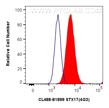 FC experiment of HepG2 using CL488-81899