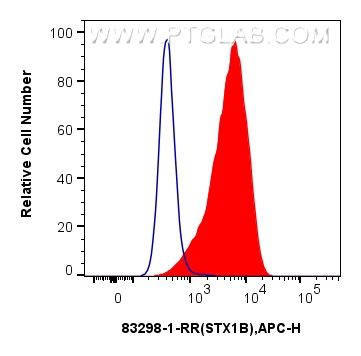 FC experiment of SH-SY5Y using 83298-1-RR (same clone as 83298-1-PBS)