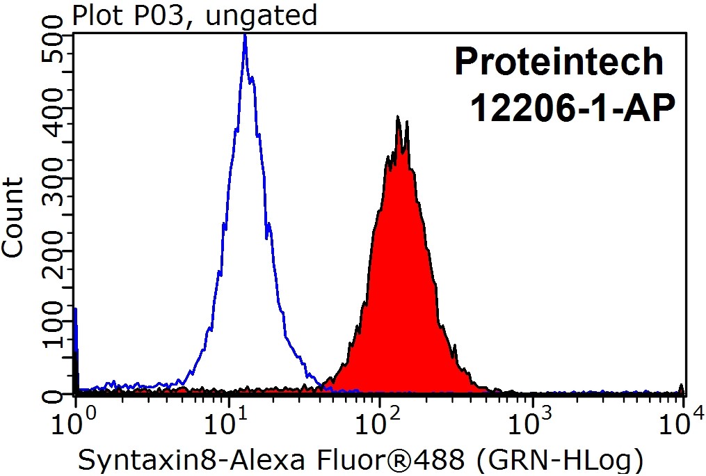 Syntaxin 8