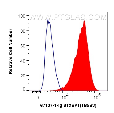 FC experiment of HeLa using 67137-1-Ig (same clone as 67137-1-PBS)