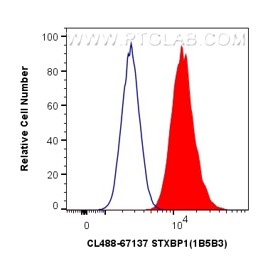 FC experiment of HeLa using CL488-67137