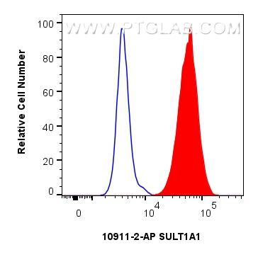 FC experiment of HepG2 using 10911-2-AP