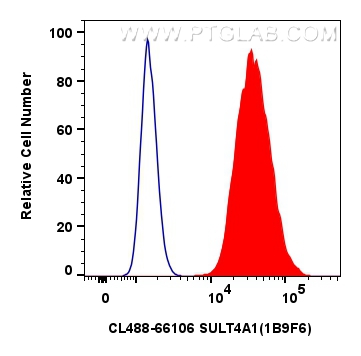 FC experiment of SH-SY5Y using CL488-66106