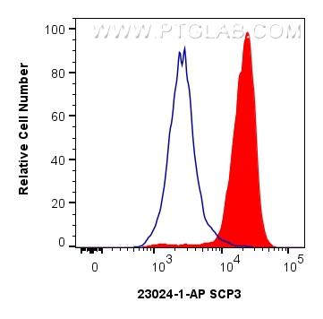 FC experiment of Jurkat using 23024-1-AP