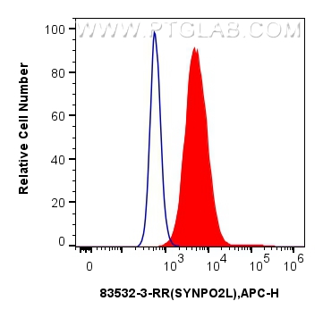 FC experiment of Caco-2 using 83532-3-RR