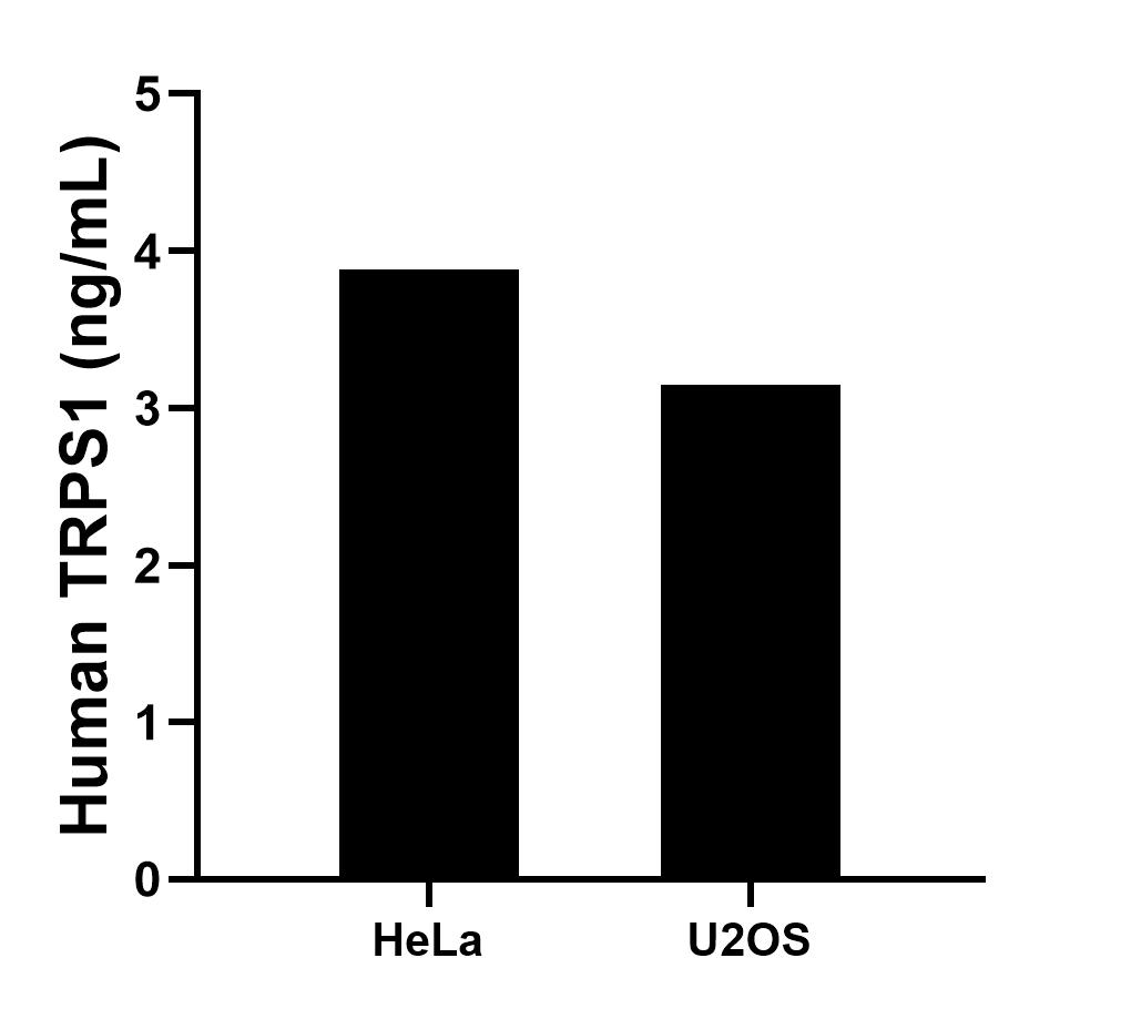 Sample test of MP00096-1