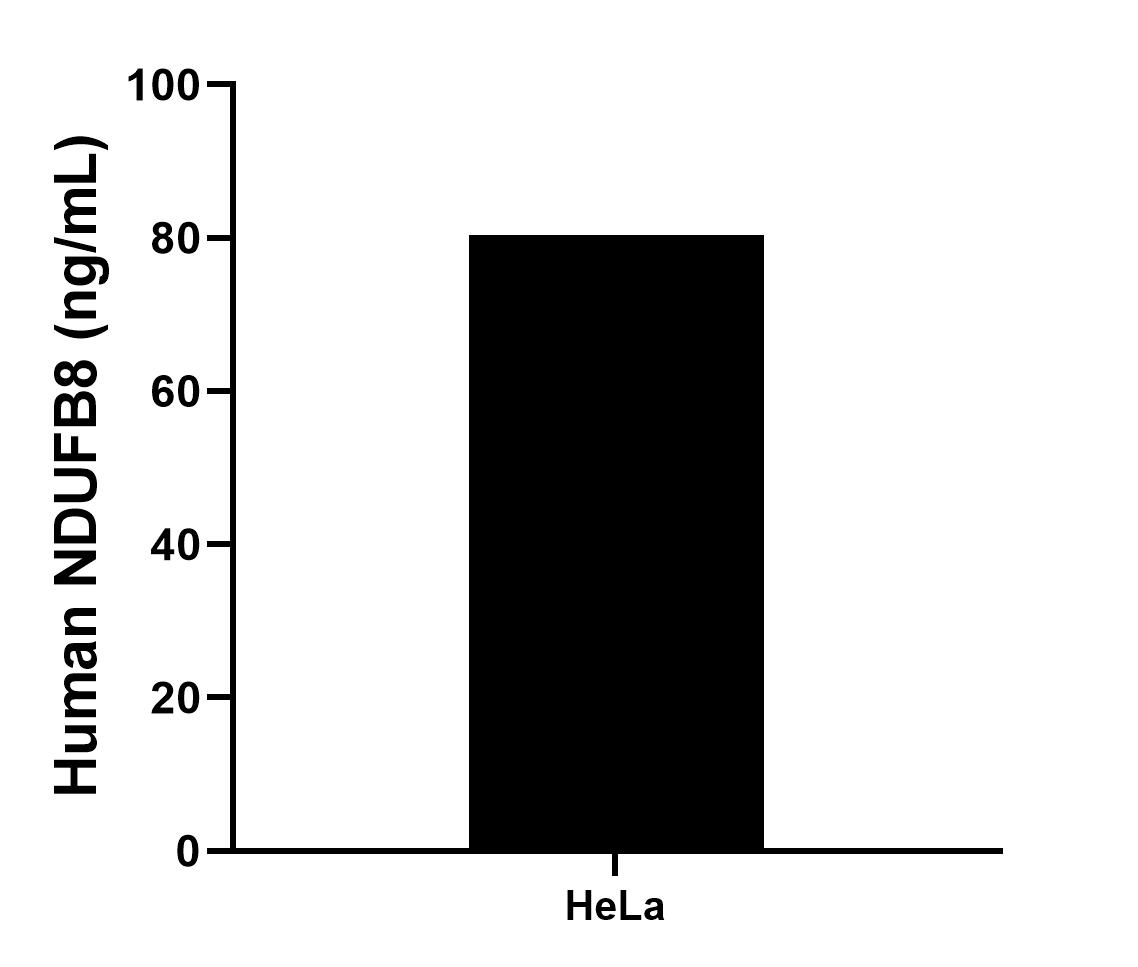 Sample test of MP00204-2