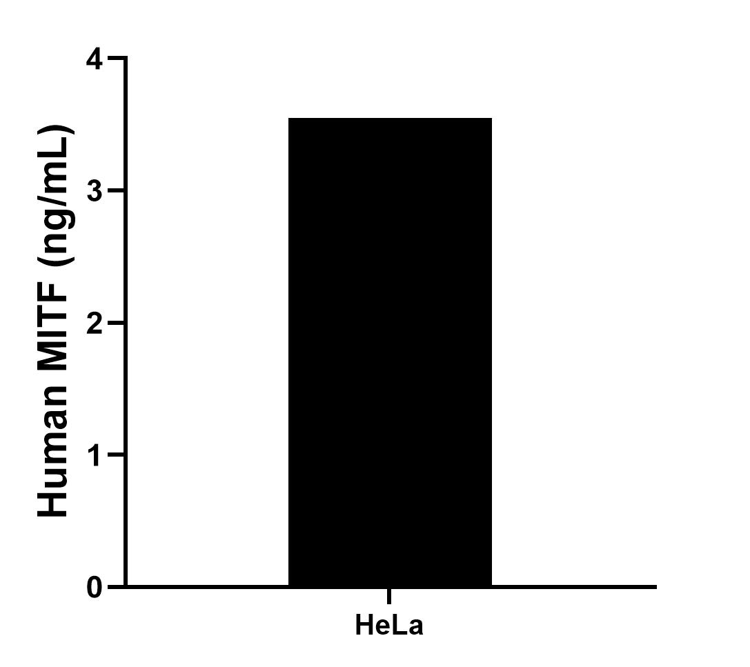 Sample test of MP00746-2