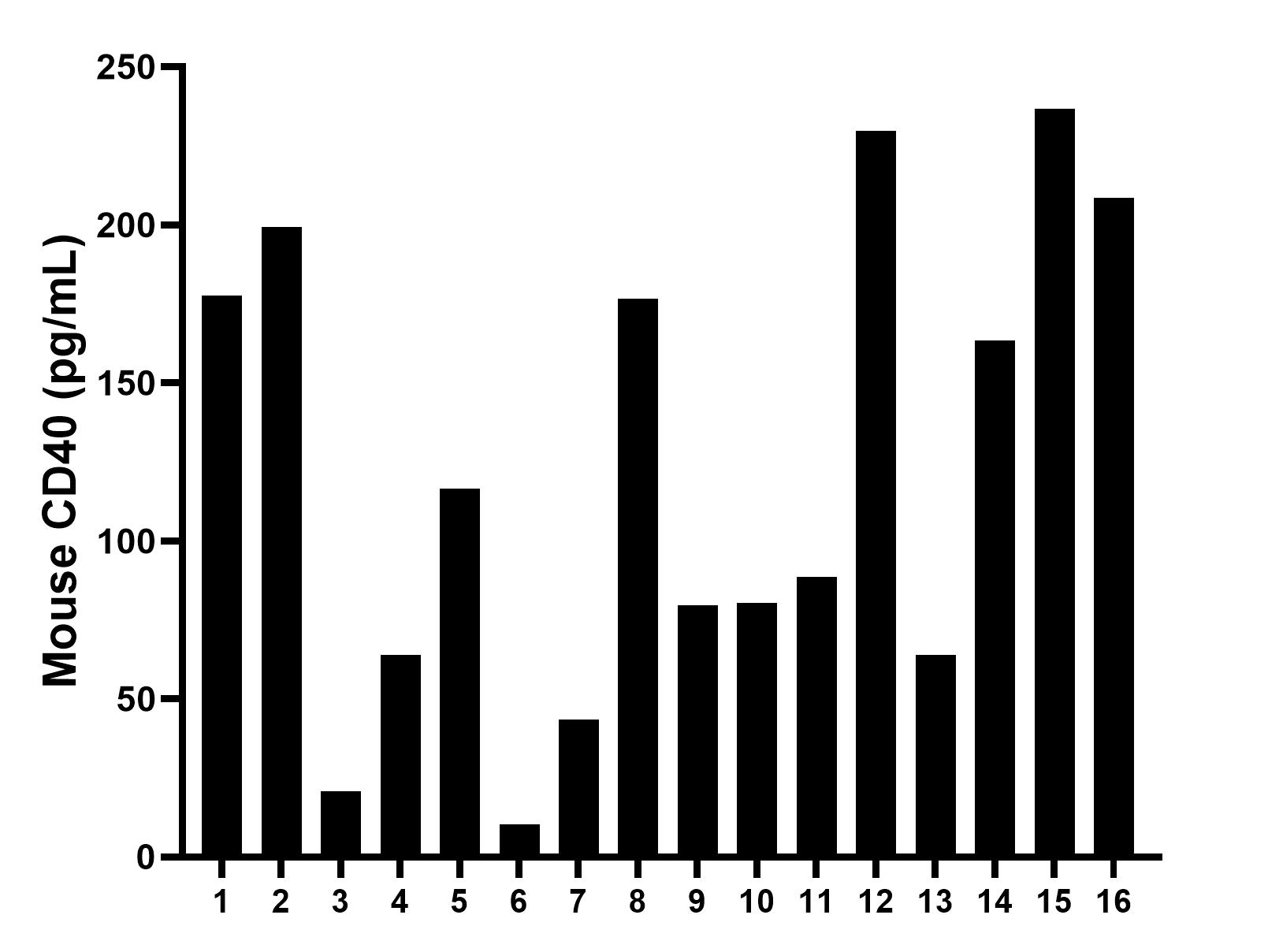 Serum of sixteen mice was measured. The mouse CD40 concentration of detected samples was determined to be 122.5 pg/mL with a range of 10.4 - 236.8 pg/mL.