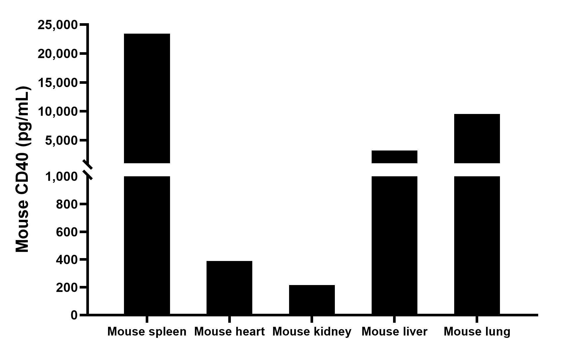 The mean CD40 concentration was determined to be 23,443.1 pg/mL in mouse spleen tissue extract based on a 3.0 mg/mL extract load, 390.2 pg/mL in mouse heart tissue extract based on a 11.2 mg/mL extract load, 216.2 pg/mL in mouse kidney tissue extract based on a 1.5 mg/mL extract load, 3,196.8 pg/mL in mouse liver tissue extract based on a 3.0 mg/mL extract load and 9,508.1 pg/mL in mouse lung tissue extract based on a 3.0 mg/mL extract load.	