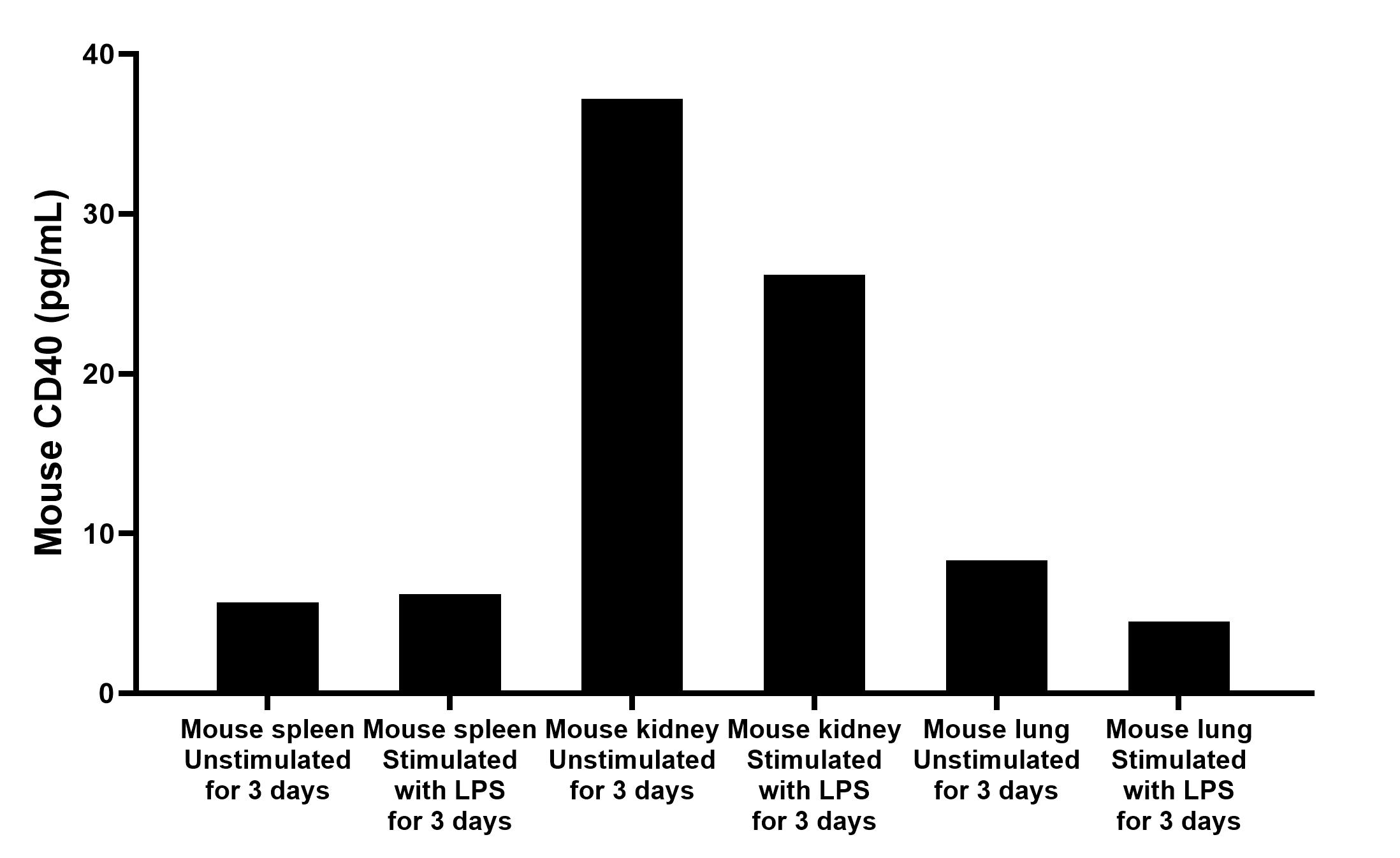 Mouse spleen tissue, mouse kidney tissue and mouse lung tissue was cultured for 3 days in RPMI supplemented with 10% fetal bovine serum, 5 μM β-mercaptoethanol, 2 mM L-glutamine, 100 U/mL penicillin, 100 μg/mL streptomycin sulfate, and stimulated with 1 μg/mL LPS. The mean CD40 concentration was determined to be 5.7 pg/mL, 37.2 pg/mL and 8.3 pg/mL in unstimulated mouse spleen tissue, mouse kidney tissue and mouse lung tissue supernatant, 6.2 pg/mL, 26.2 pg/mL and 4.5 pg/mL in LPS stimulated mouse spleen tissue, mouse kidney tissue and mouse lung tissue supernatant.