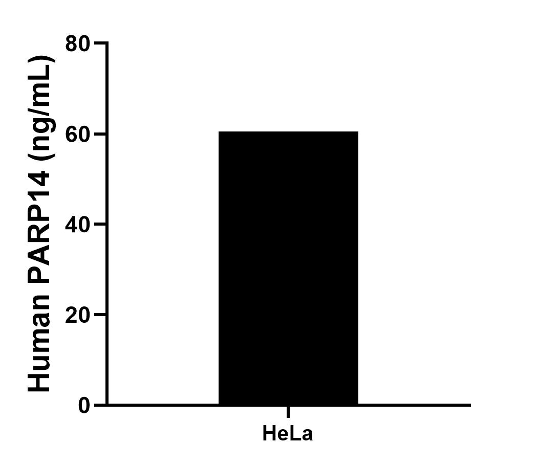 Sample test of MP00966-3