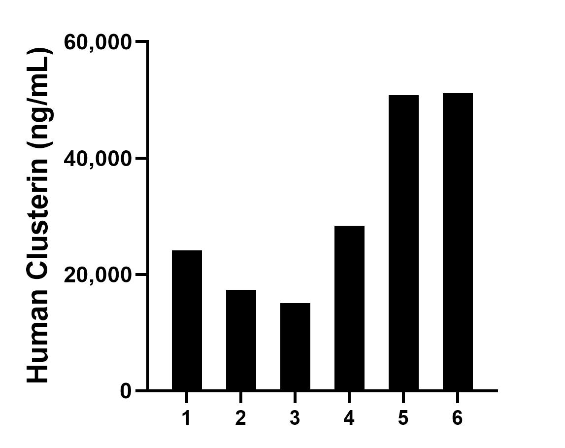 Serum of six individual healthy human donors was measured. The human Clusterin concentration of detected samples was determined to be 31,152.14 ng/mL with a range of 15,052.59 - 51,157.85 ng/mL.