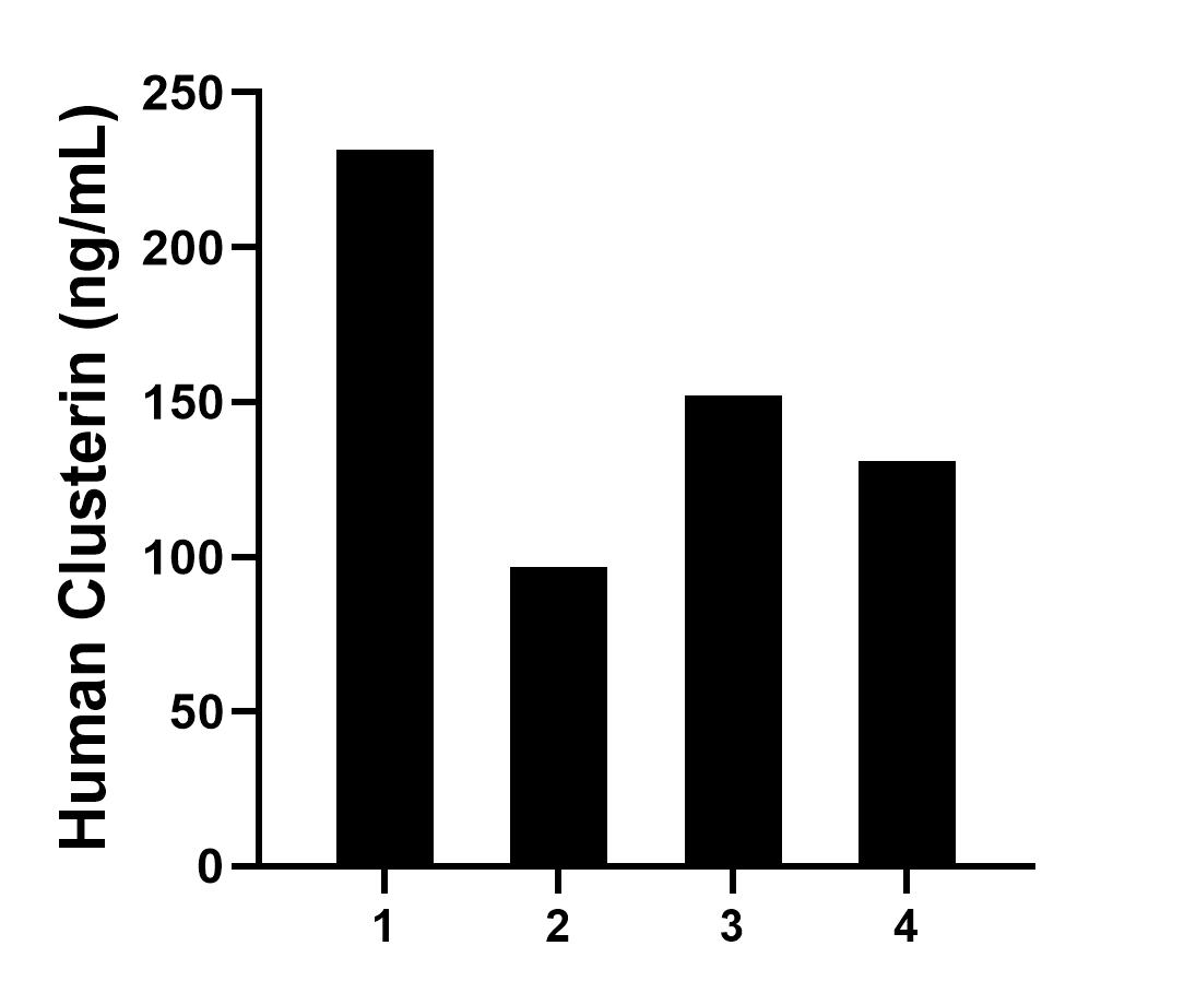 Saliva of four individual healthy human donors was measured. The human Clusterin concentration of detected samples was determined to be 152.81 ng/mL with a range of 95.56 - 231.47 ng/mL.