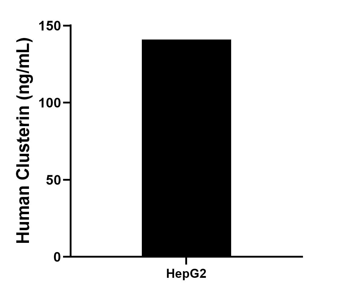 HepG2 were cultured in DMEM supplemented with 10% fetal bonive serum, 2.5 mM L-glutamine, 100 U/mL penicillin, and 100 μg/mL streptomycin sulfate. An aliquot of the cell culture supernate was removed, assayed for human Clusterin, and measured 140.90 ng/mL.