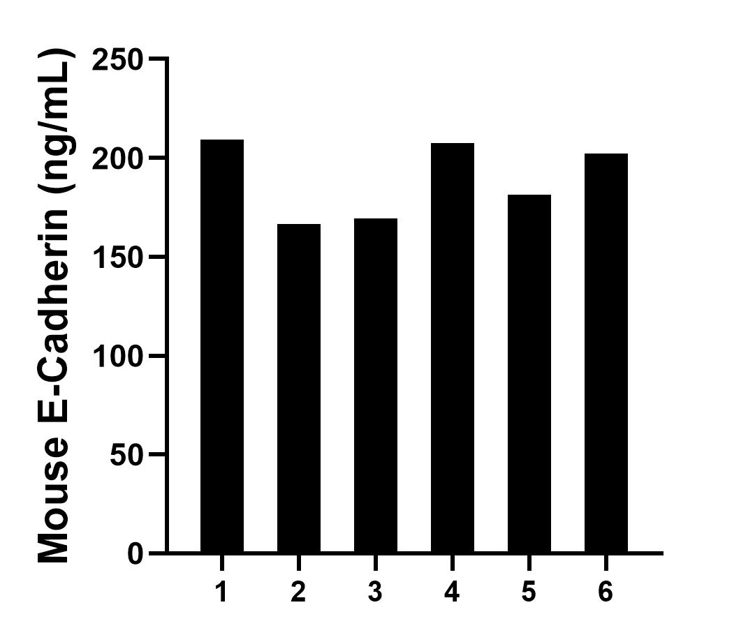 Serum of six mice was measured. The E-Cadherin concentration of detected samples was determined to be 189.4 ng/mL with a range of 166.7-209.1 ng/mL.