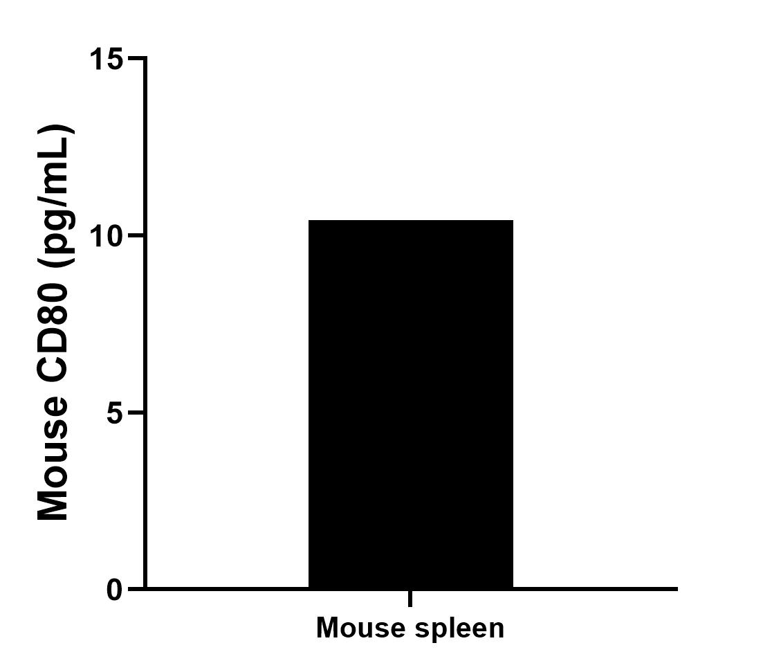 Mouse spleen tissue was cultured in RPMI supplemented with 10% fetal bovine serum, 5 μM β-mercaptoethanol, 2 mM L-glutamine, 100 U/mL penicillin, and 100 μg/mL streptomycin sulfate. An aliquot of the cell culture supernate was removed, assayed for mouse CD80/B7-1, and measured 10.44 pg/mL. 