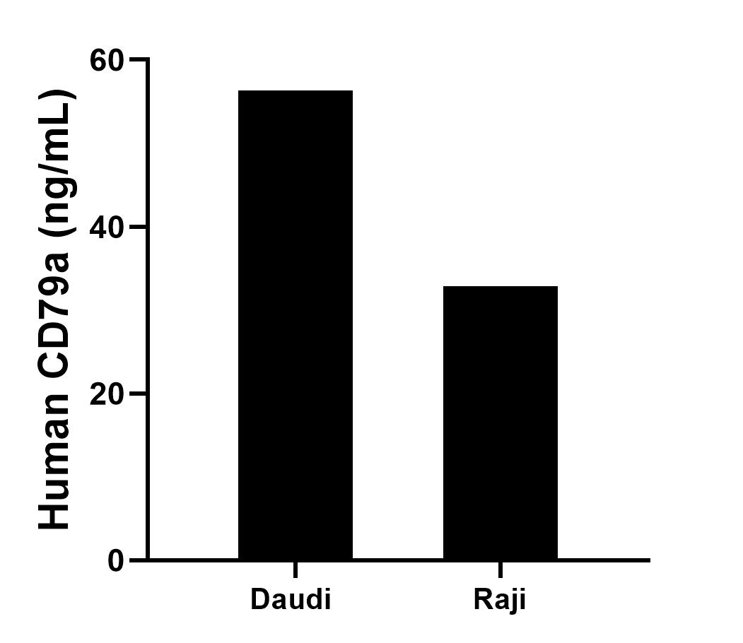 Sample test of MP01111-2