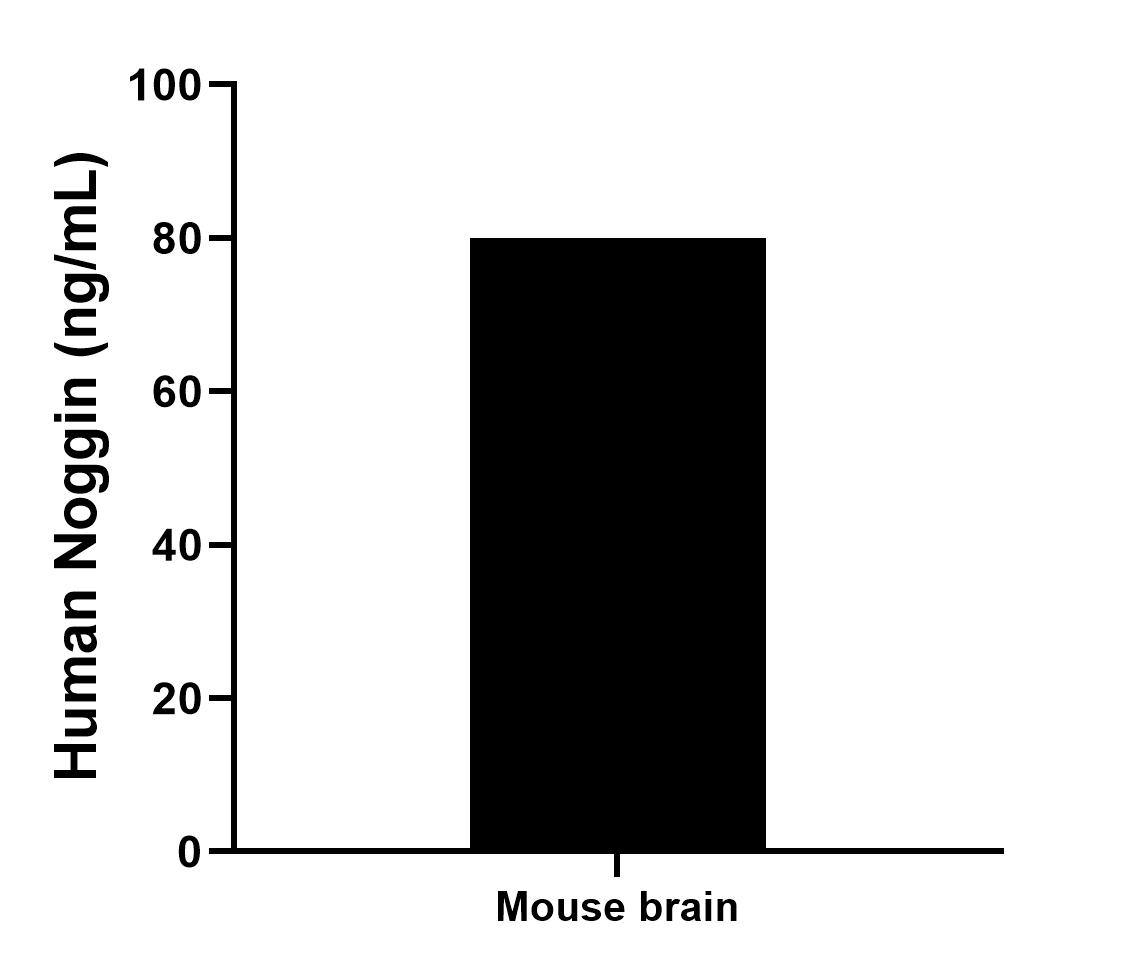 Sample test of MP01174-4