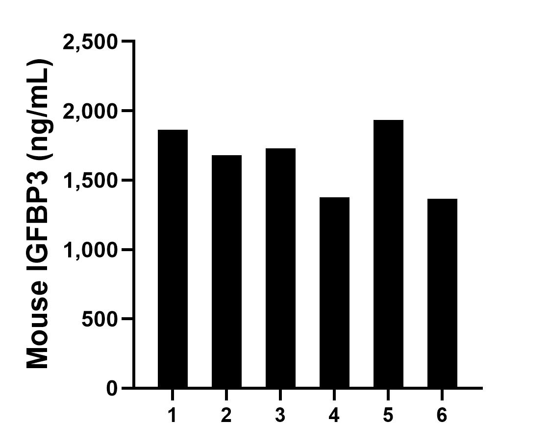 Serum of six mice was measured. The mouse IGFBP3 concentration of detected samples was determined to be 1,658.02 ng/mL with a range of 1,364.6 - 1,933.3 ng/mL.